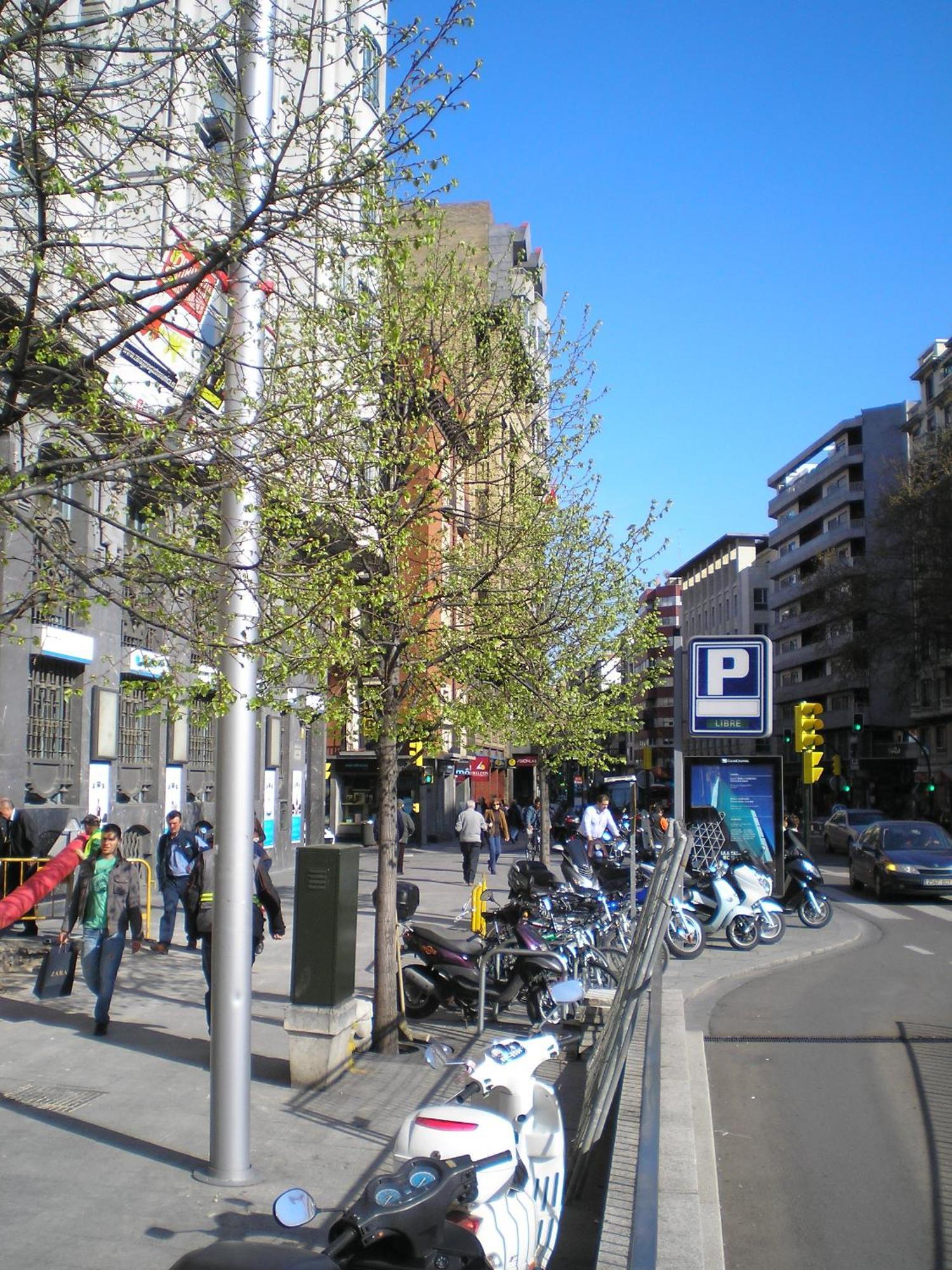 Plaza Espana Deluxe